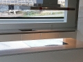 Silestone Blanco Stellar 01